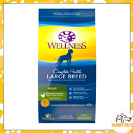 Wellness Dog Complete Health Large Breed 30lb Deboned Chicken &amp; Brown Rice Adult Dry Dog Food