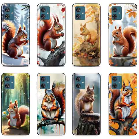 Cute Squirrel Back Cover For UMIDIGI G9 G9A G9C G9T Note 90 90C 90A G5 G6 G3 Power 5 5s 7 7s F1 A9 A