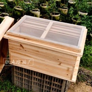 Seven-Frame Hive Standard Apis Cerana Bee Hive Whole Fir Dried Fir Hive/Foam Bee Mating Box / Queen 