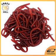 100pcs Soft Bait Umpan Cacing Buatan 3.5cm Umpan Palsu Ikan Tawar/Laut Warna Menarik Realistis