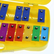 Colorful 25 tones xylophone with case for kids musical toy Christmas gift -- &amp; **** &amp;