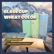 Glass Bottle / Drinking Glass Bottle 450ml