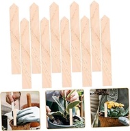 ORFOFE 20pcs Wooden Garden Sign Garden Decor Lawn Decor Plant Classification Signs Garden Markers Plant Label Stakes Creative Name Tags Ornament Tags for Bonsai Bamboo Pine Wood
