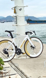 Twitter 公路車 全碳纖 電變