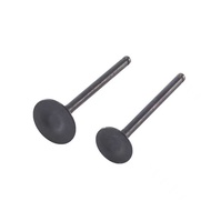 Motorcycle Engine Accessories Valve CG125/CG150 Inlet Exhaust Valve Stainless Steel Valve