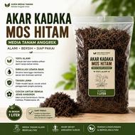 BLACK MOSS KADAKA ROOT [2.5 Liters] Orchid Plant Planting Media