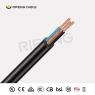 Guangdong RIFOR Cable Rubber Cable YZ 2Core3Core 2.5 4 6 10Square Wire Welding Wire Copper Core