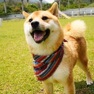 HAVE A GOOD DAY 領巾 DOG BANDANA