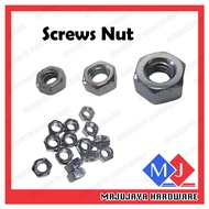 Screw Nut Screw Nylon Lock Nut Hex Nut Galvanized Iron High Tensile Hexagon Nut Locknut Coarse Threa
