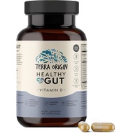 TERRA ORIGIN Healthy Gut with Vitamin D 5000 IU | 60 Capsules | Gut Health Supplements for Men and W