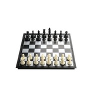 Magnetic Chess Board