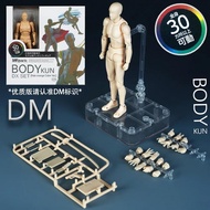 Sketch Draw Male Female Movable Body Kun Body Chan Joint Pain Anime Figure Shf Action Figure Toy Mod