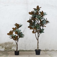 Simulasi Bunga Tumbuhan Hiasan Pokok Magnolia Lantai Rumah Dalaman Tanaman Hijau Palsu Hiasan Pasu P