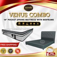 Venus Combo: Niveus 14" UK Pocket Spring Mattress & Duke Divan Bed (Queen/King)