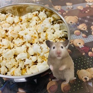 Oil free popcorn snack for hamster 20g 无油爆米花