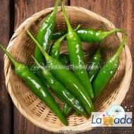 25.HAT Hạt Giống Ớt Sừng F1 Xanh Ngọt Hàn Quốc TG112 (KL| B51*W42*M003)