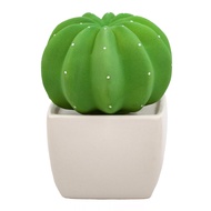 Dotti Cactus, Non-Electric Ceramic Diffusers for Essential Oils and Aromatherapy Fragrance, White Ce