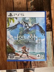 PS5 地平線 西域禁地