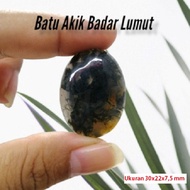 Badar Lumut Natural Agate Agate