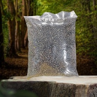 Biji Taugeh Black Matpe 1Kg