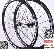 【速發】Mavic Cosmic Elite S 700C 框高40MM輪組公路車C夾碟剎輪組20 24孔花鼓車架通