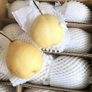 buah pear yalie 1kg