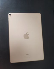 (月中前再減200）Apple iPad Pro 10.5 / 新套 / Wifi 64GB iPadOS 17.4