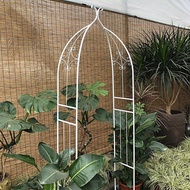 Courtyard Wrought Iron Grape Rack Wire Lotus Climbing Plants Rose Arch Flower Rack Climbing Rack Arc