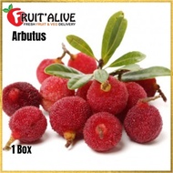 ARBUTUS FRUITS 400G FROM CHINA (FRUIT )