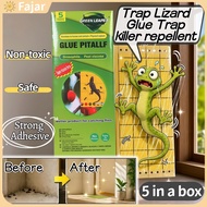 10 Pcs lizard Killer Trap Ioo Lizard (Cicak/Gecko) Sticky Trap Lizard Glue Strong Adhesive Traps Gec