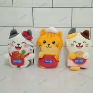 Seri Aji Recycle Bag 🐈