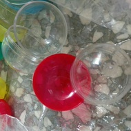 Gashapon Gashapon Bandai Shell