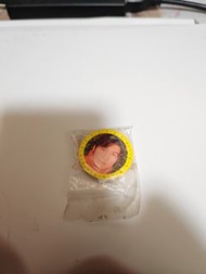 謝霆鋒扣針yes
