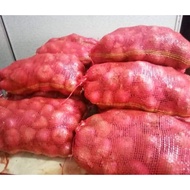 Bawang Besar Merah dan putih bersih 1 guni terus