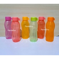 READY YES - Tupperware Eco Bottle 310ml Tupperware Bottle