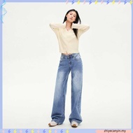 Women Baggy Curve Jeans Women Jeans