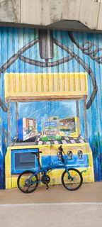 Tern Verge P10 超新 shimano件 SRP pro BB 非 neo  dahon java rhum