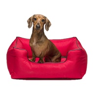 KONG Lounger Sofa Bed (Red) (Large)