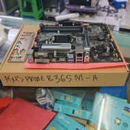 ASUS MOTHERBOARD Prime B365M-A