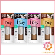 HOYU CIELO 1 Day Hair Color Cielo Hoyu One Day Gray Hair Cover hair dye/white hair cover Hoyu Profes