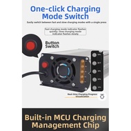 Fast Charger Ggr ev lion 72v.