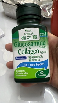 Adrien Gagnon 楓之寶 葡萄糖胺 & 膠原蛋白