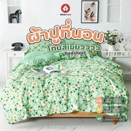 Bedding Sheet Green Tone Bed 6 Feet/5 Feet/3.5 Feet 6-11 Inches (+ Pillowcase + Bolster Case)