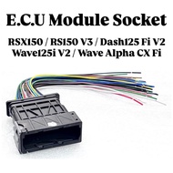 Socket ECU Module CDI Unit E.C.U Unit C.D.I Wire Wayar Wayer Wiring ECU Soket RSX RS-X 150 RSX-150 R