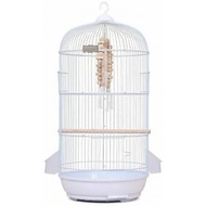 Fenteer Avian Enclosure Round Bird Cage Hanging Cage Parrot Cage Carbon Steel with Perch Dangling In