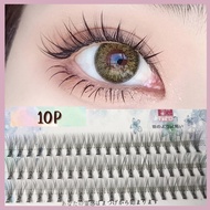 ขนตาปลอม ขนตาช่อ ธรรมชาติ ขนตาเกาหลี  Eyelash (แถมกาว ที่คีบ)