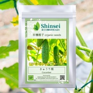 Shinsei 新生 | Organic Seeds 17 | Cucumber