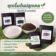 Starter Set For Planting Kale 2 Varieties To Choose From | Peat Moss 5L + Perlite Complete Seed Begi