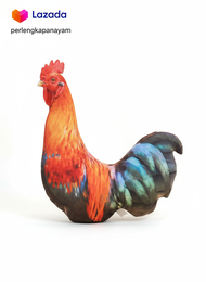 Boneka Ayam Jago Alat Latih Fisik Ayam Untulan