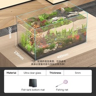 Crystal Clear Glass Fish Tank 6MM Glass Aquarium CC Tank Aquascape Tank Aquascape Premium Aquarium